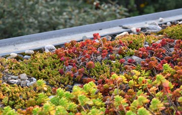the cost of White Houses green roof installation