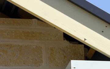 soffit repair White Houses