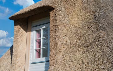 White Houses thatch roof disadvantages